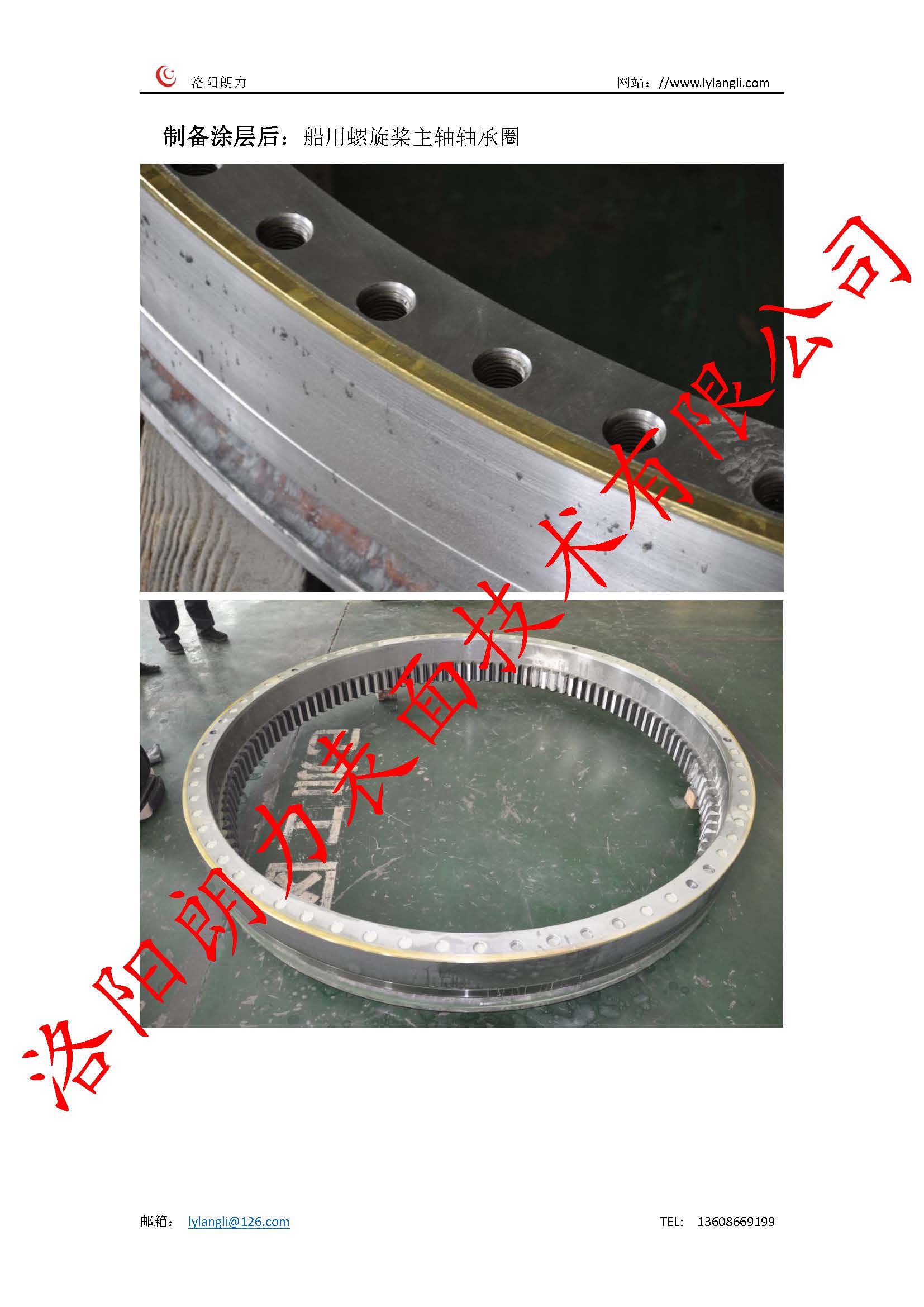 船用螺旋槳主軸軸承抗海洋腐蝕涂層_頁(yè)面_2.jpg